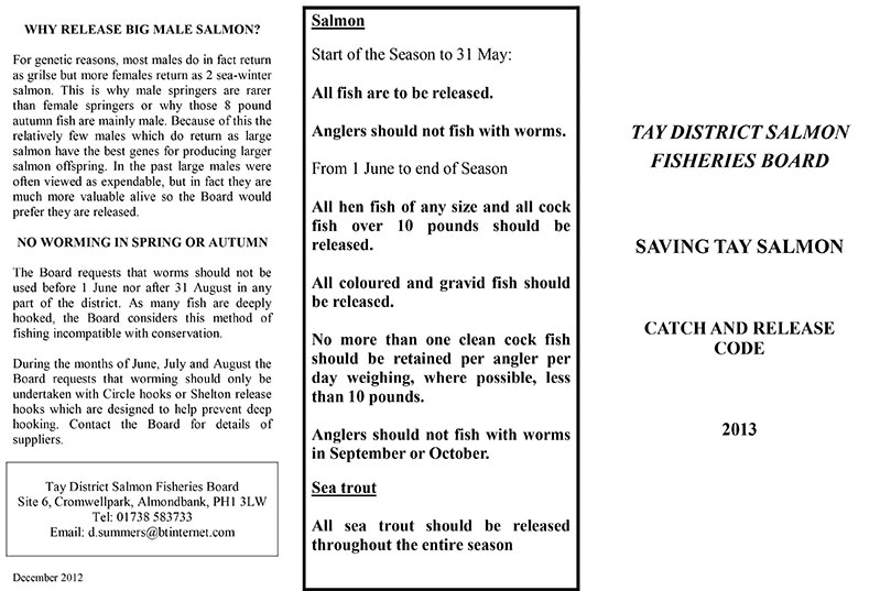 Catch and Release Code