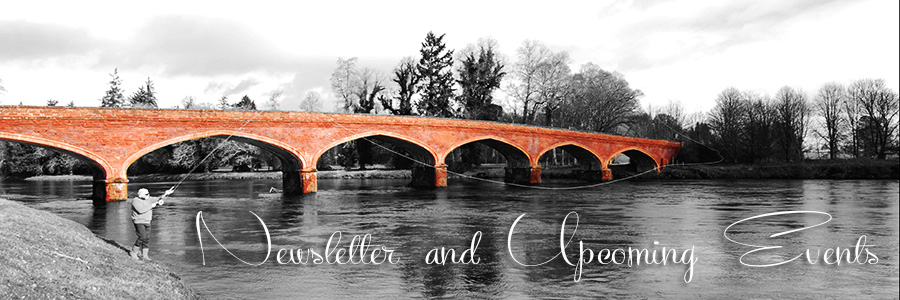 Salmon Fishing on The Tay Latest Offers