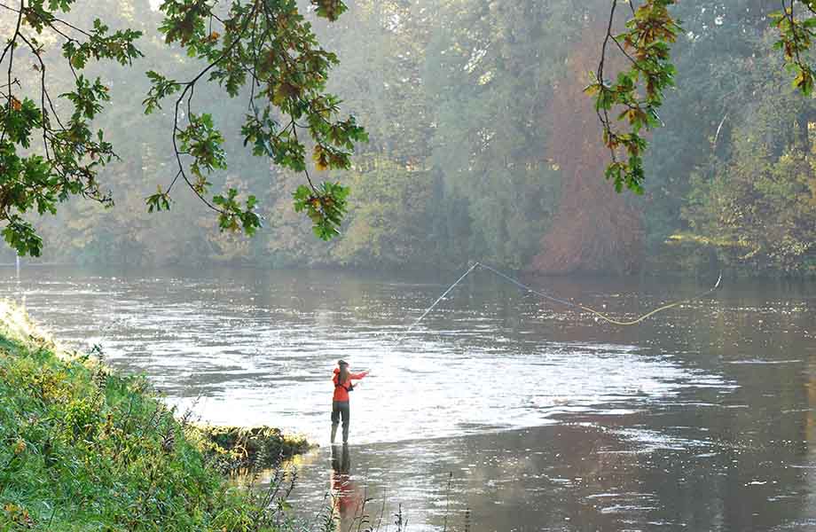 Fishing The Tay at Meikleour