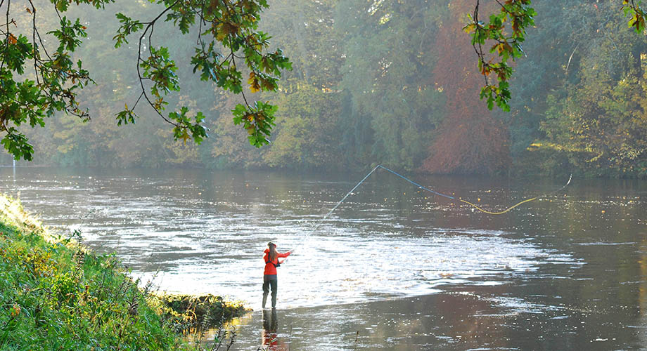 Fly Fishing in Scotland